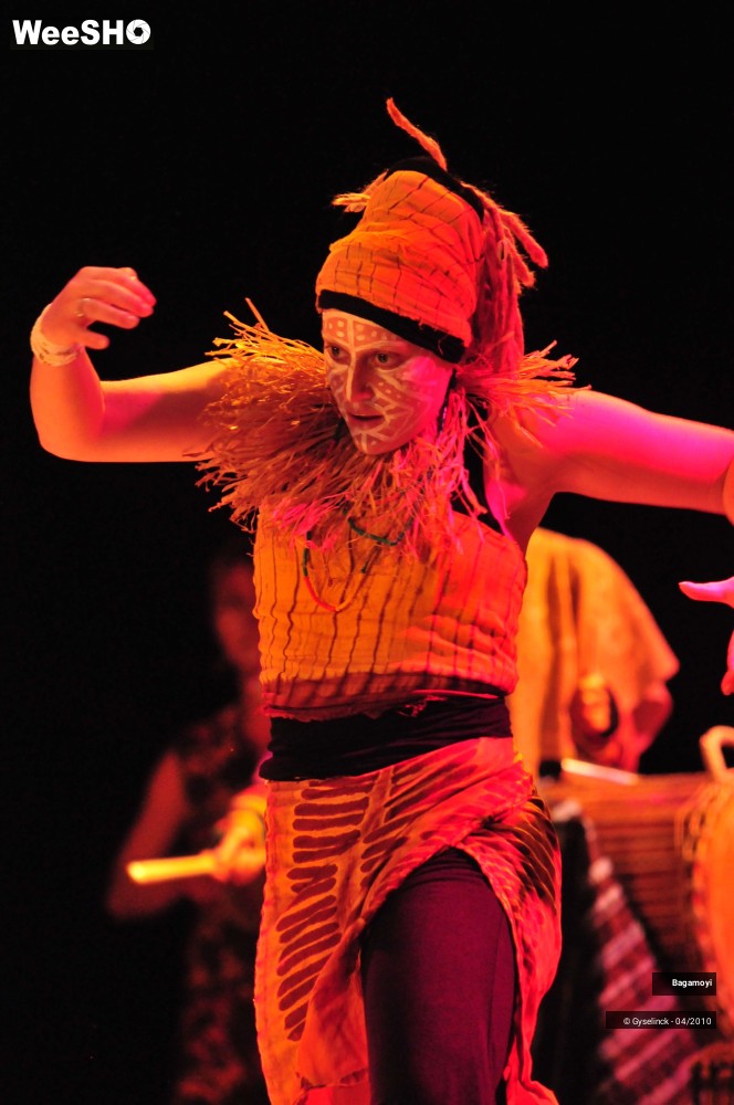 17/43 photos du spectacle Soirée Acte Africa