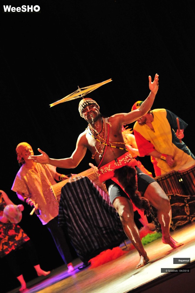 23/43 photos du spectacle Soirée Acte Africa