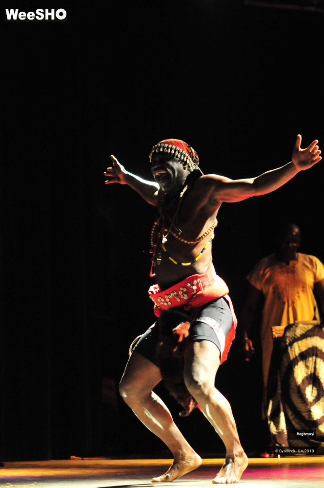 27/43 photos du spectacle Soirée Acte Africa