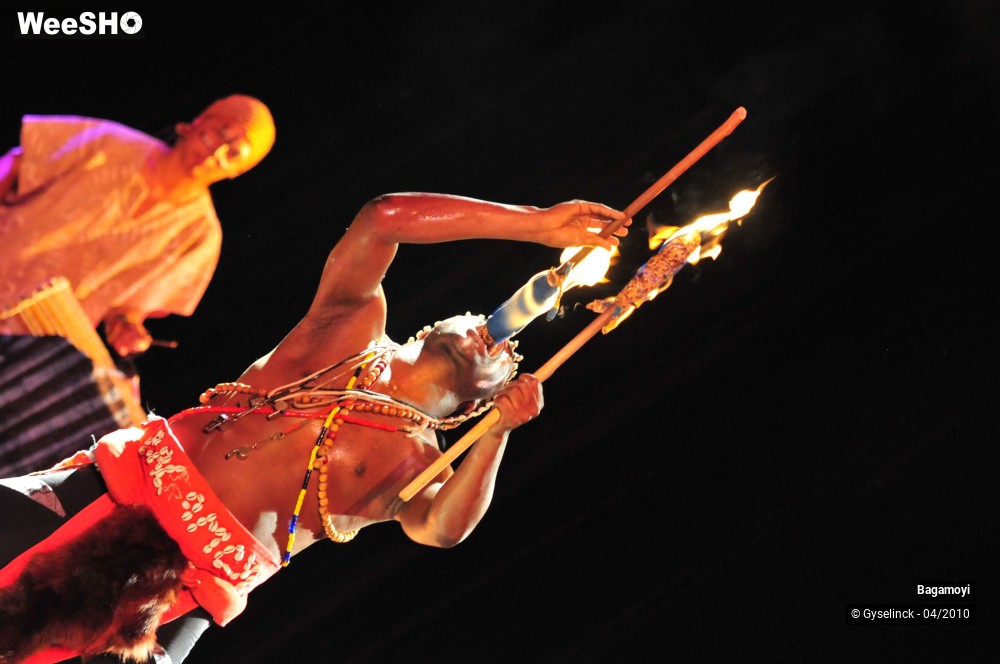 37/43 photos du spectacle Soirée Acte Africa