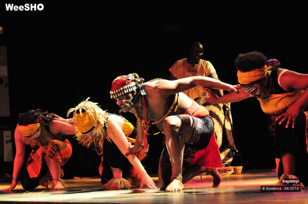 39/43 photos du spectacle Soirée Acte Africa