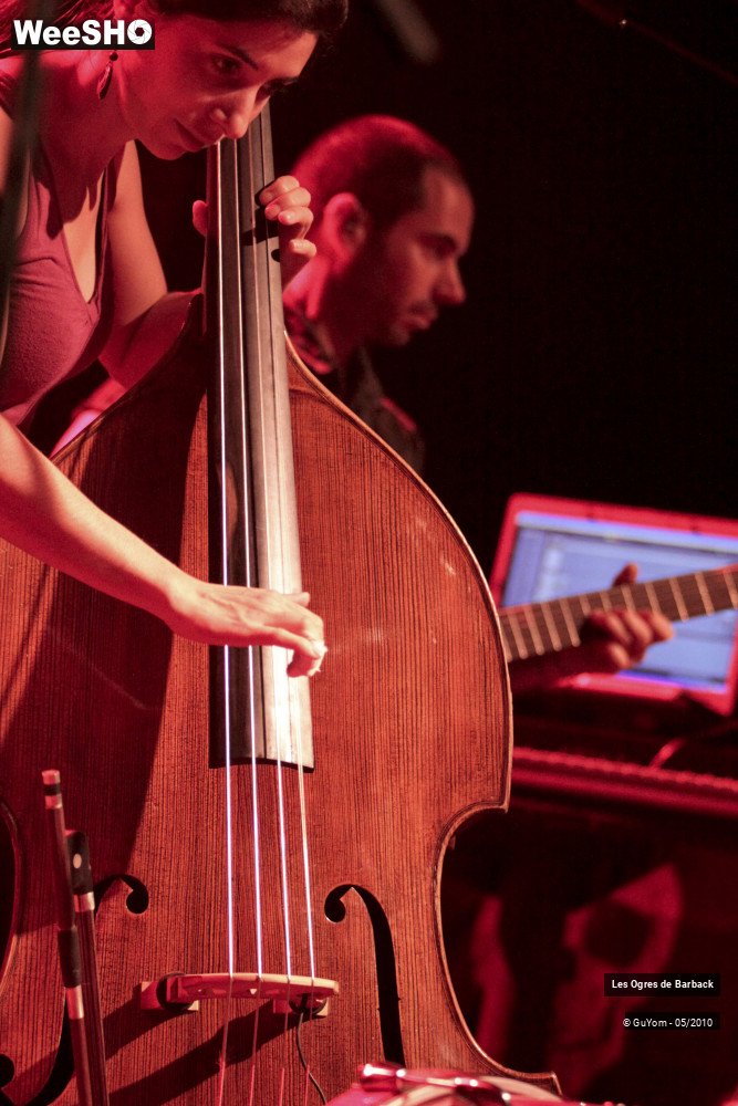 4/51 photos du spectacle Les Ogres de Barback Portraits