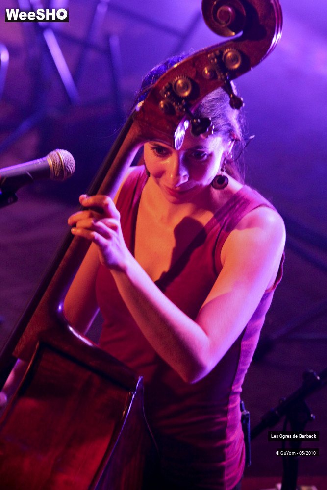 8/51 photos du spectacle Les Ogres de Barback Portraits