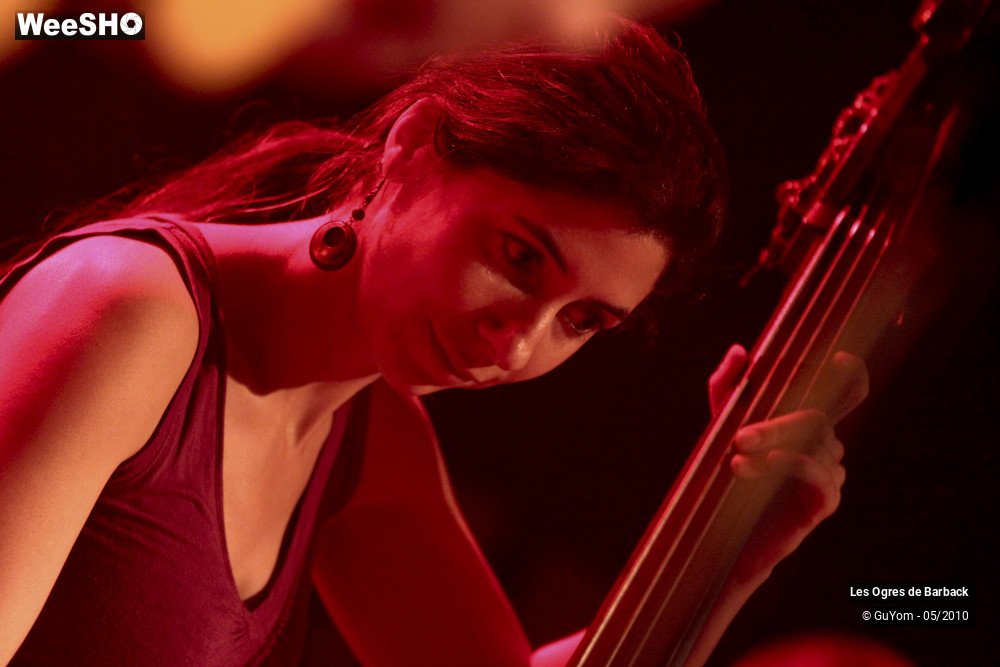 22/51 photos du spectacle Les Ogres de Barback Portraits