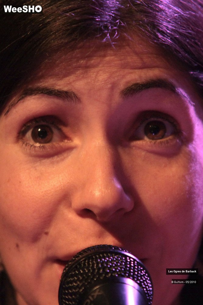 31/51 photos du spectacle Les Ogres de Barback Portraits