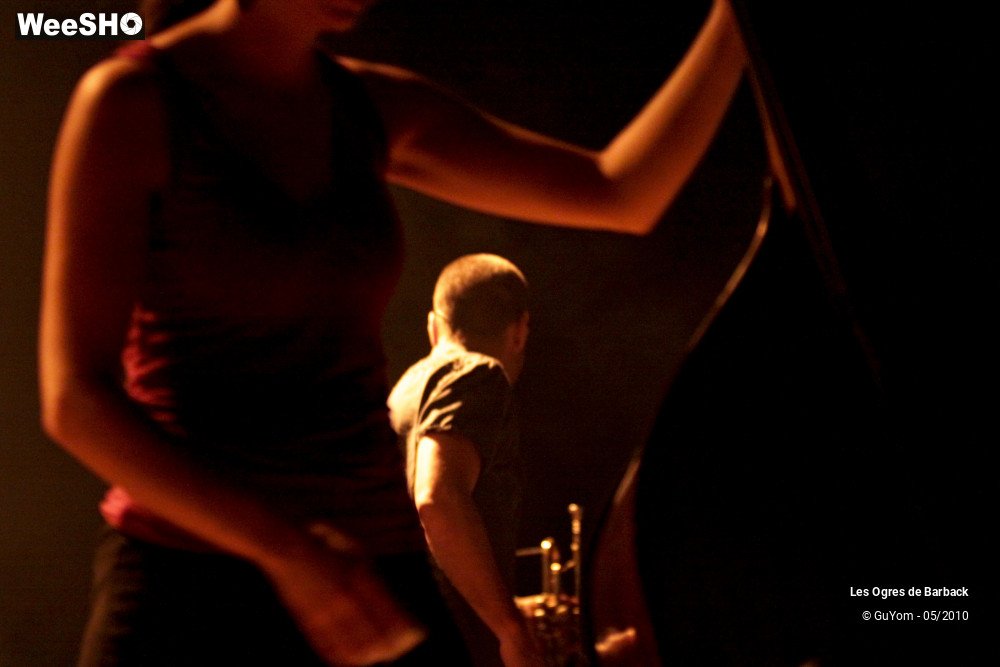 42/51 photos du spectacle Les Ogres de Barback Portraits