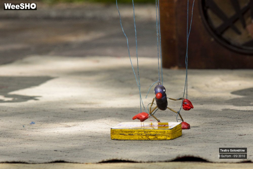 12/22 photos du spectacle Jojo Golendrini