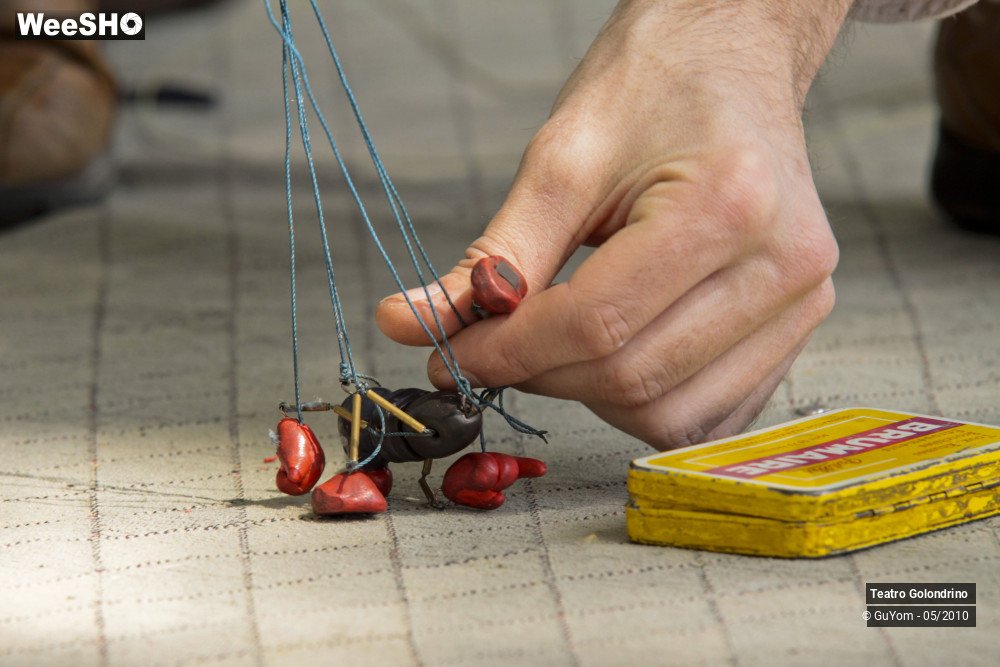 17/22 photos du spectacle Jojo Golendrini