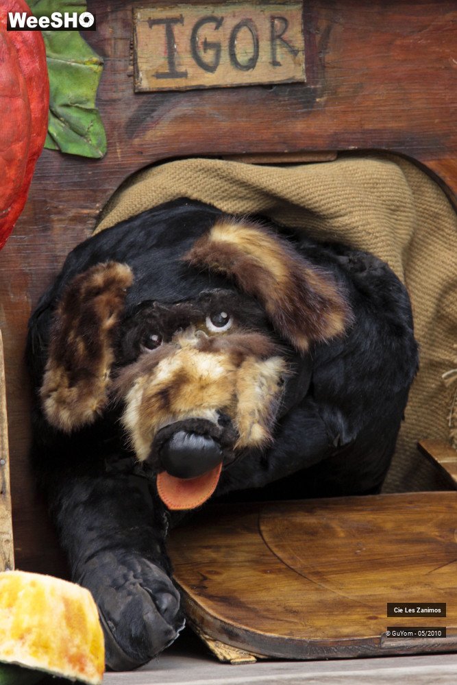 3/29 photos du spectacle Andrée Kupp, dresseuse de Légumes