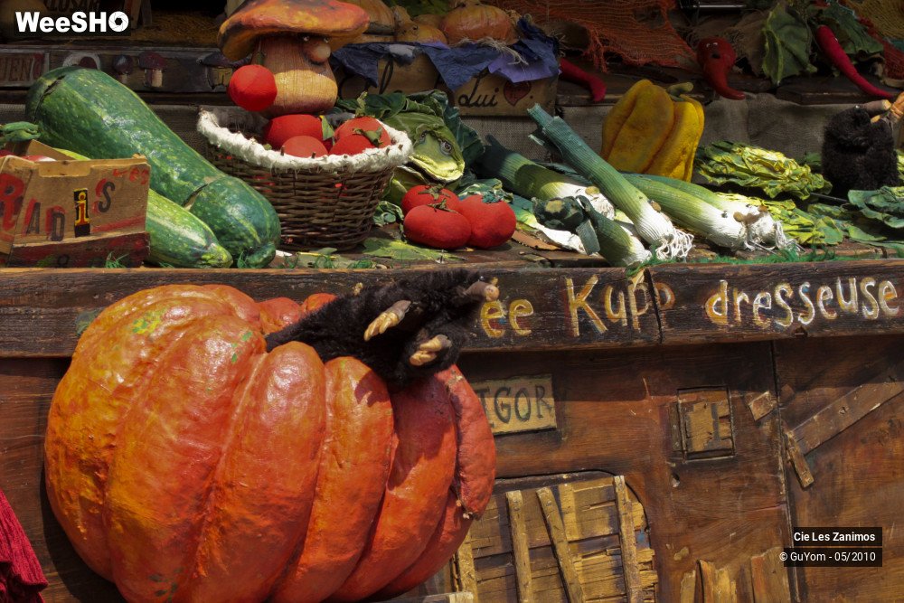 8/29 photos du spectacle Andrée Kupp, dresseuse de Légumes