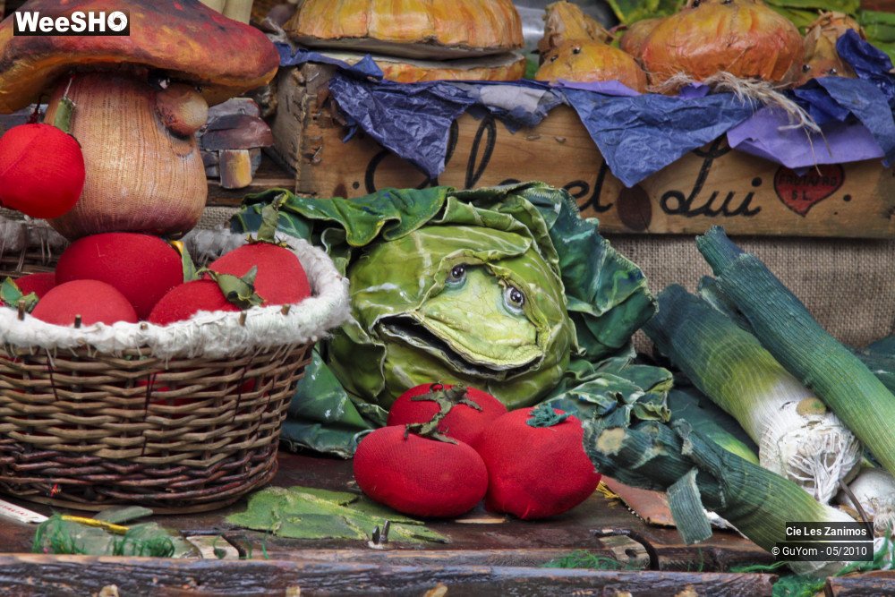 9/29 photos du spectacle Andrée Kupp, dresseuse de Légumes