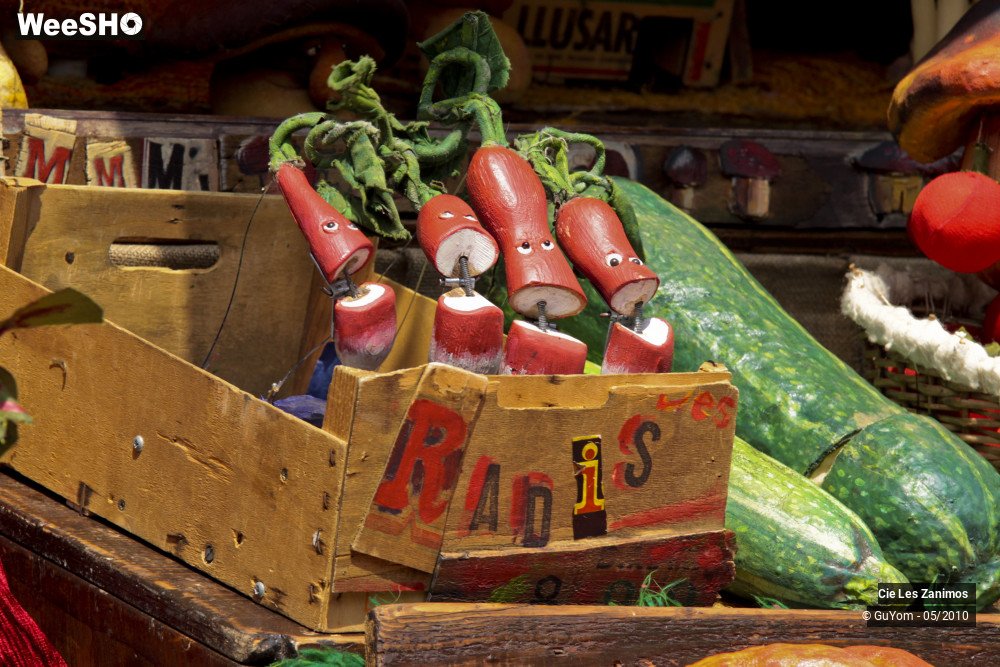 12/29 photos du spectacle Andrée Kupp, dresseuse de Légumes
