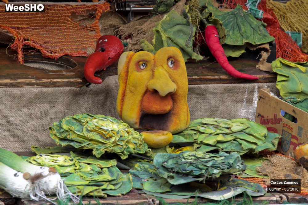 13/29 photos du spectacle Andrée Kupp, dresseuse de Légumes