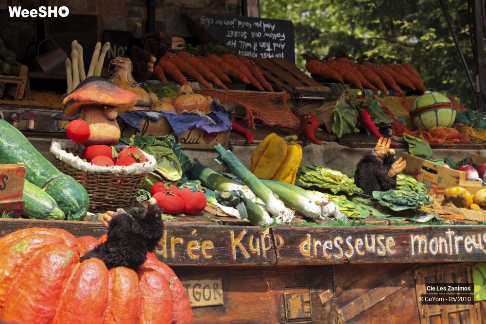 17/29 photos du spectacle Andrée Kupp, dresseuse de Légumes
