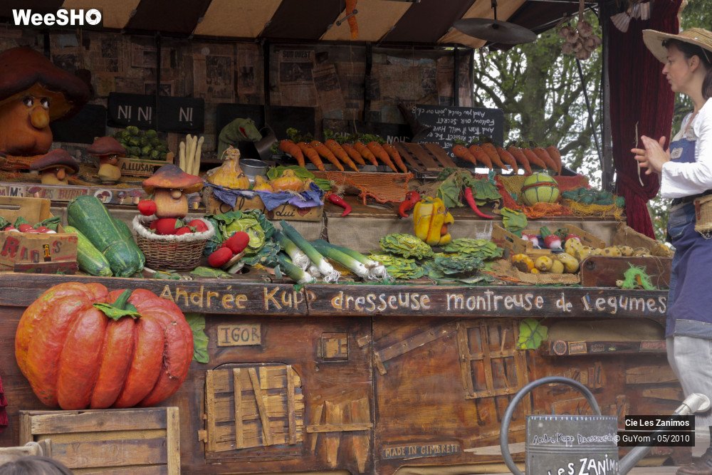 22/29 photos du spectacle Andrée Kupp, dresseuse de Légumes