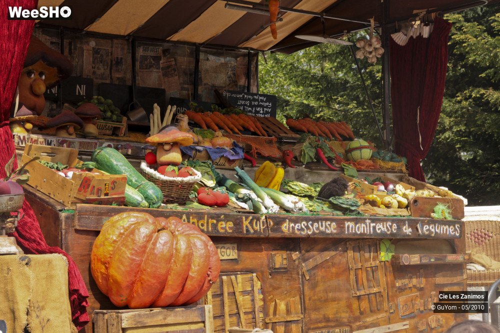 25/29 photos du spectacle Andrée Kupp, dresseuse de Légumes