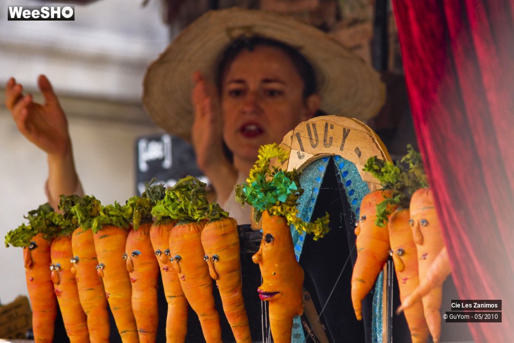 26/29 photos du spectacle Andrée Kupp, dresseuse de Légumes