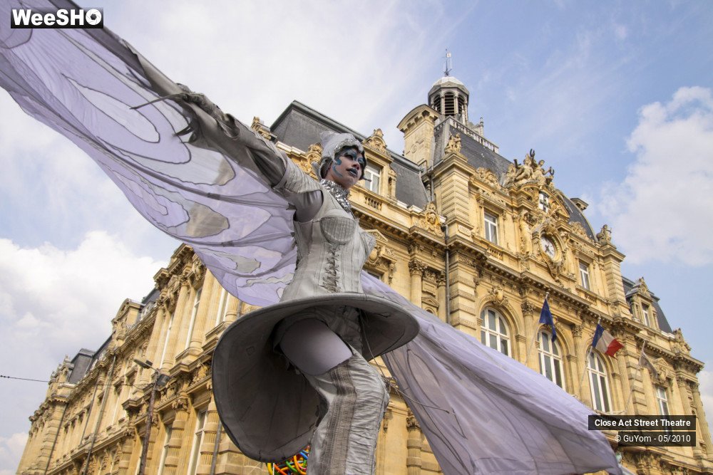 31/50 photos du spectacle White Wings