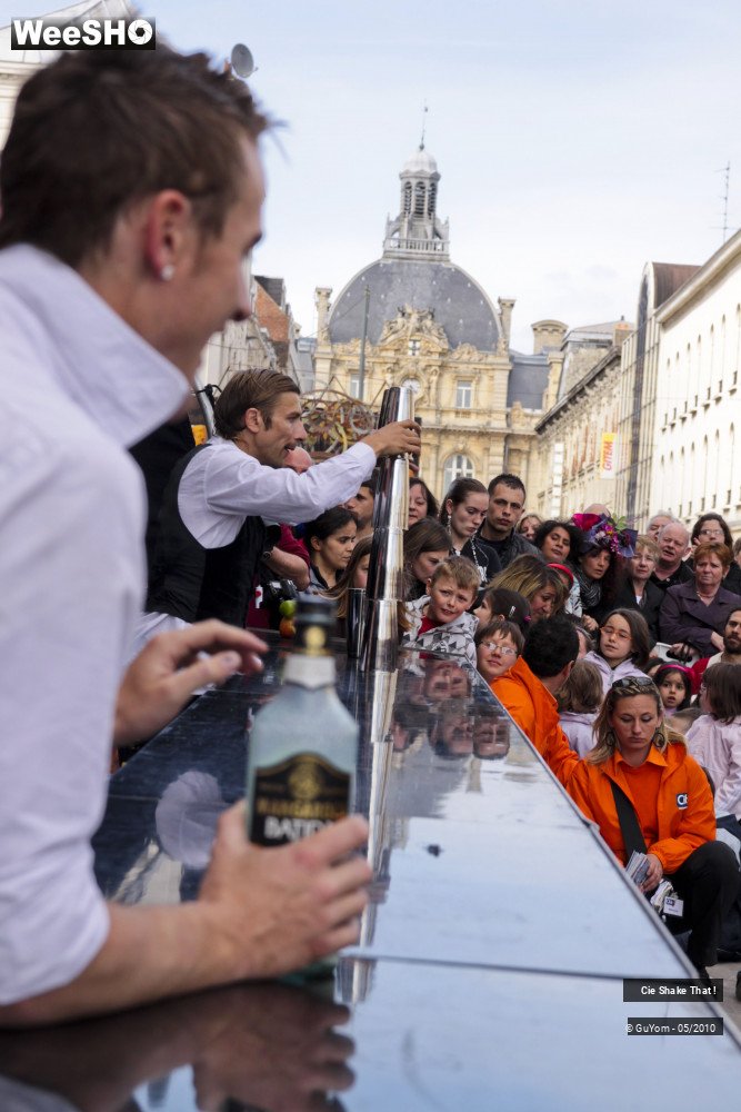 8/50 photos du spectacle Shake That !