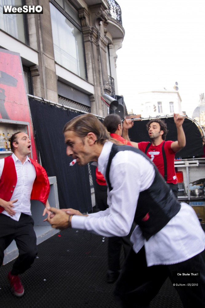 14/50 photos du spectacle Shake That !