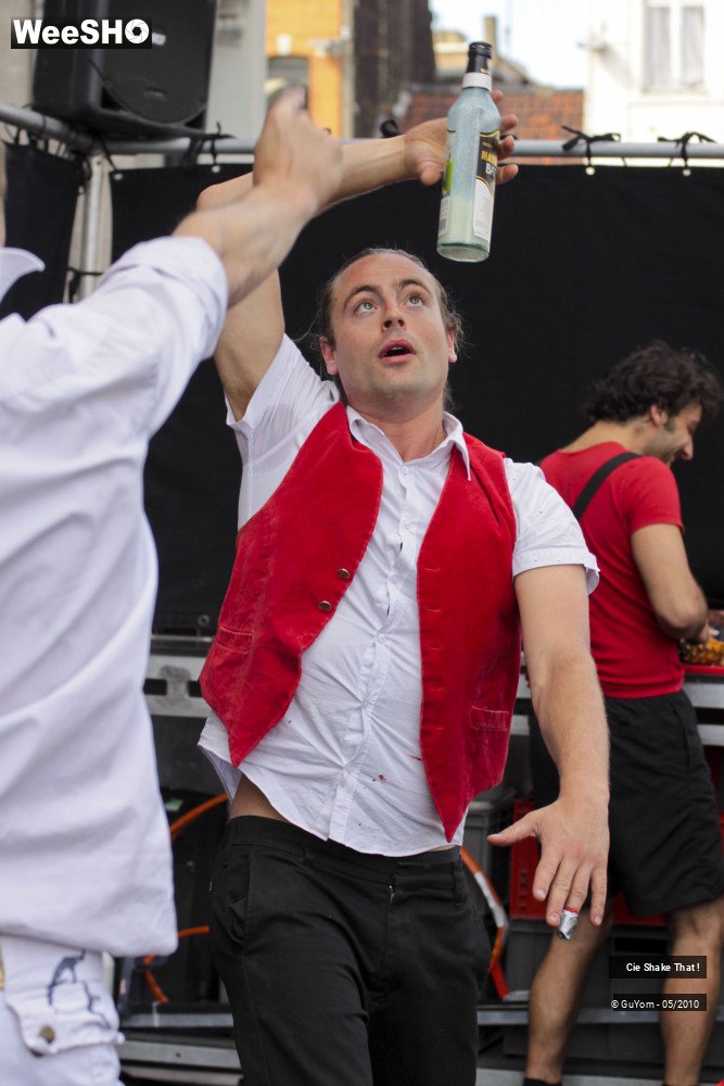 15/50 photos du spectacle Shake That !