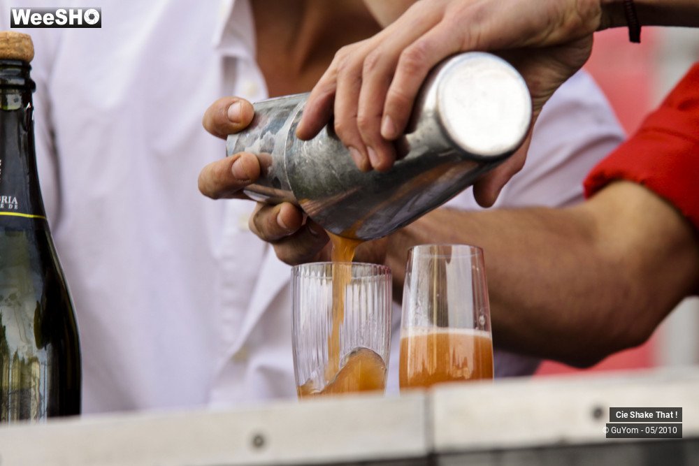 27/50 photos du spectacle Shake That !