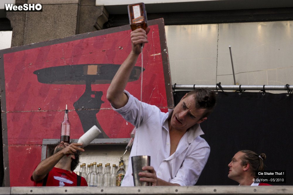 33/50 photos du spectacle Shake That !