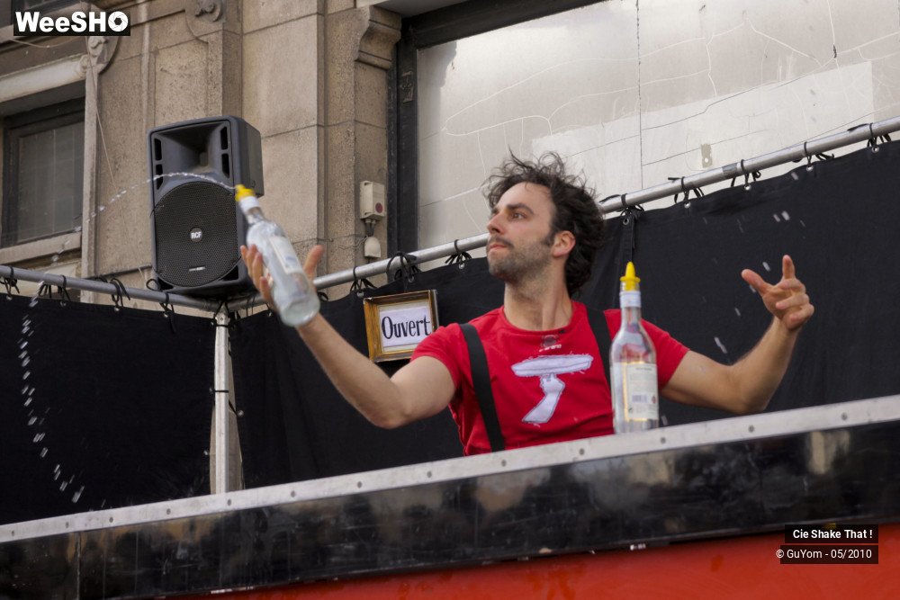 42/50 photos du spectacle Shake That !