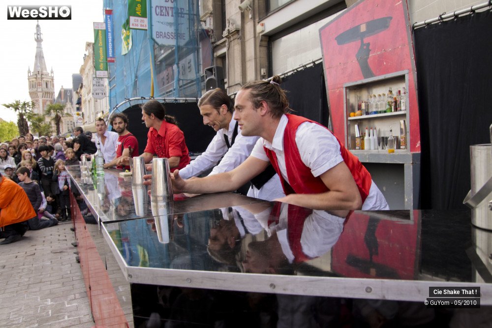 44/50 photos du spectacle Shake That !