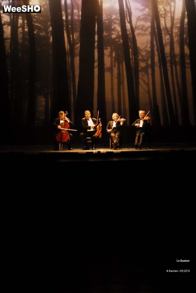 21/34 photos du spectacle Le Quatuor 1
