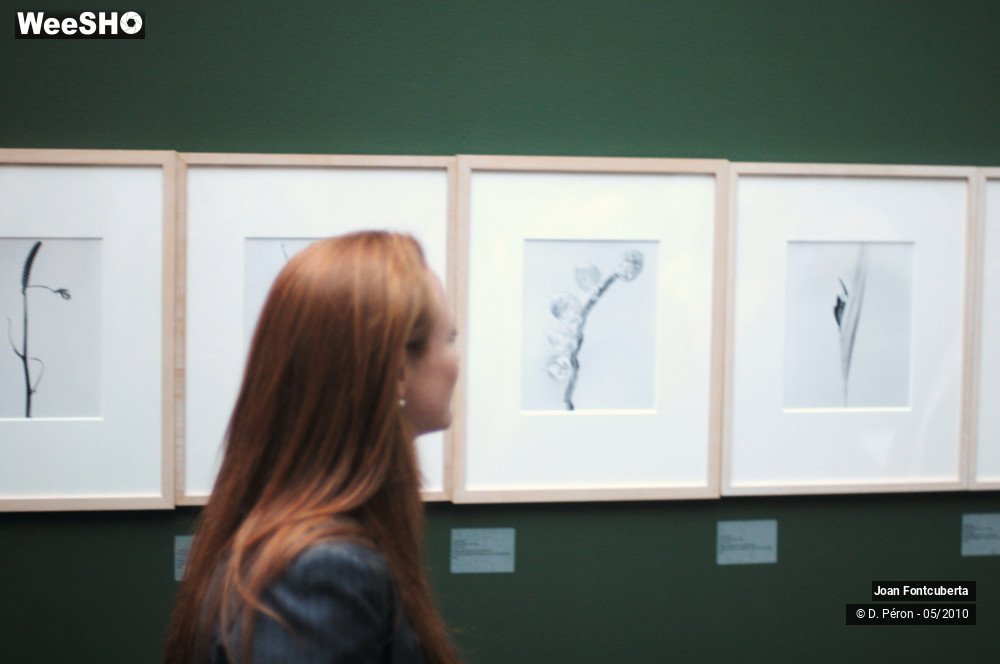 16/21 photos du spectacle Joan Fontcuberta & Jorma Puranen