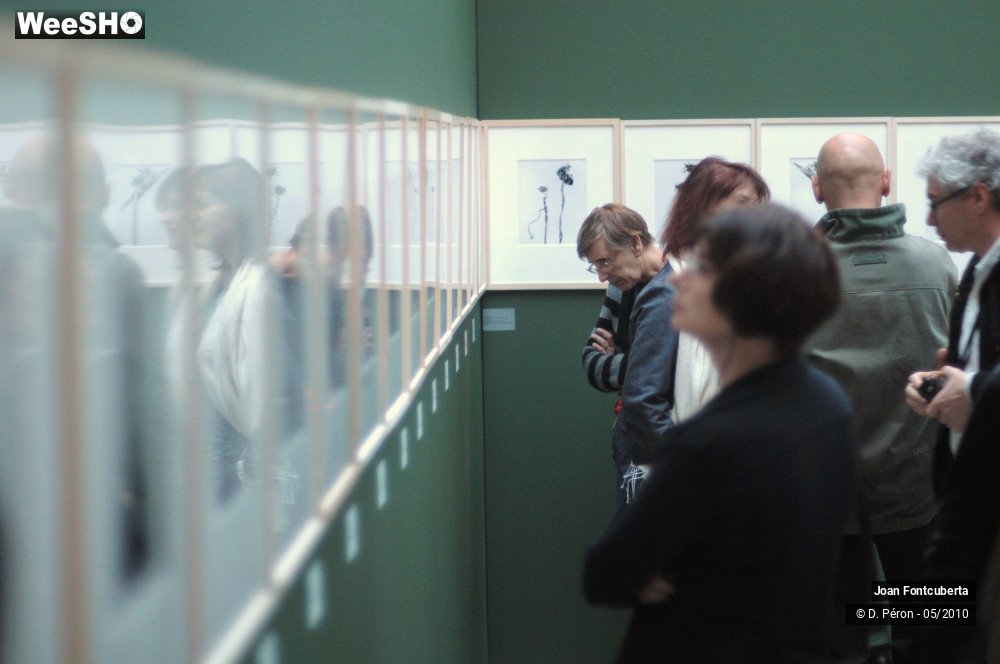 21/21 photos du spectacle Joan Fontcuberta & Jorma Puranen