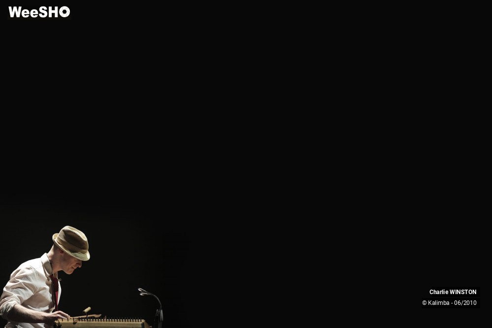 32/39 photos du spectacle Charlie WINSTON