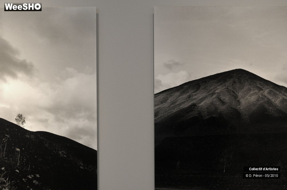 4/13 photos du spectacle Transphoto Palais Rameau