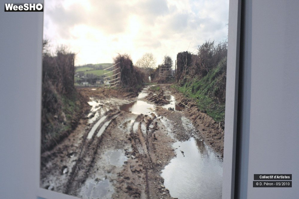 6/13 photos du spectacle Transphoto Palais Rameau