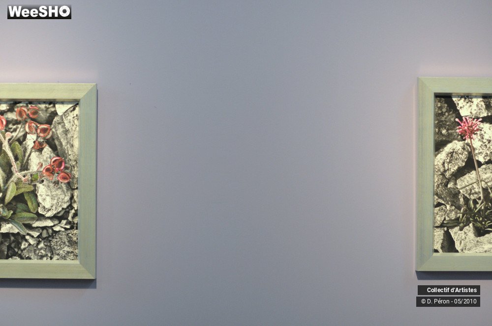 11/13 photos du spectacle Transphoto Palais Rameau