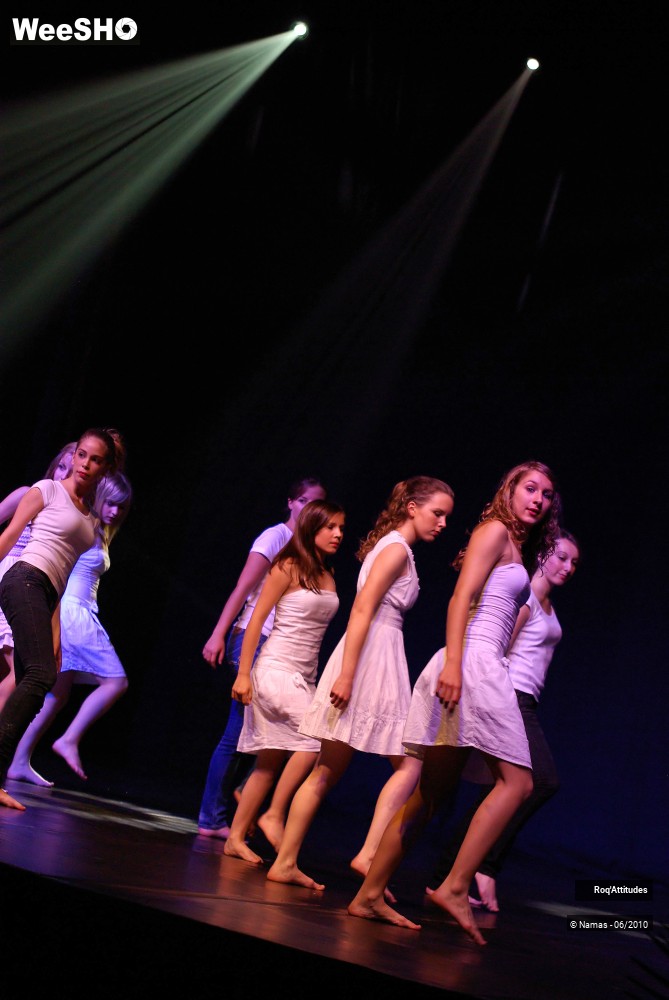 8/34 photos du spectacle Roq Attitudes Partie 1