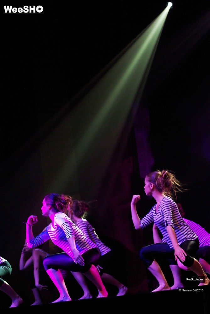 13/34 photos du spectacle Roq Attitudes Partie 1