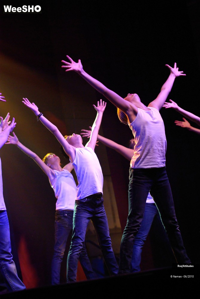 18/34 photos du spectacle Roq Attitudes Partie 1