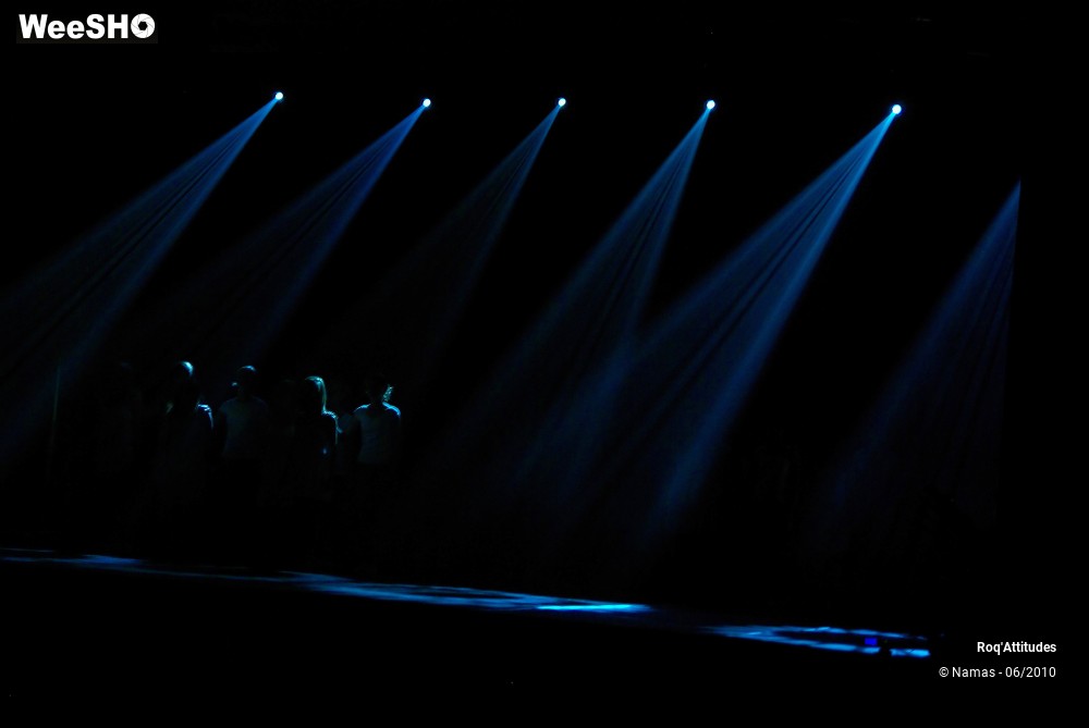 21/34 photos du spectacle Roq Attitudes Partie 1