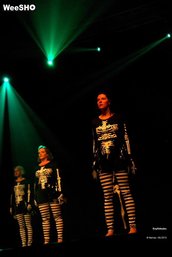 1/47 photos du spectacle Roq Attitudes Partie 2