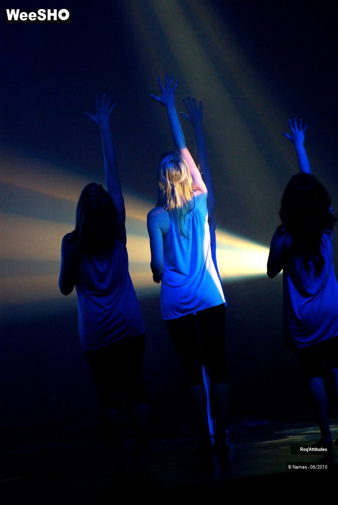 14/47 photos du spectacle Roq Attitudes Partie 2