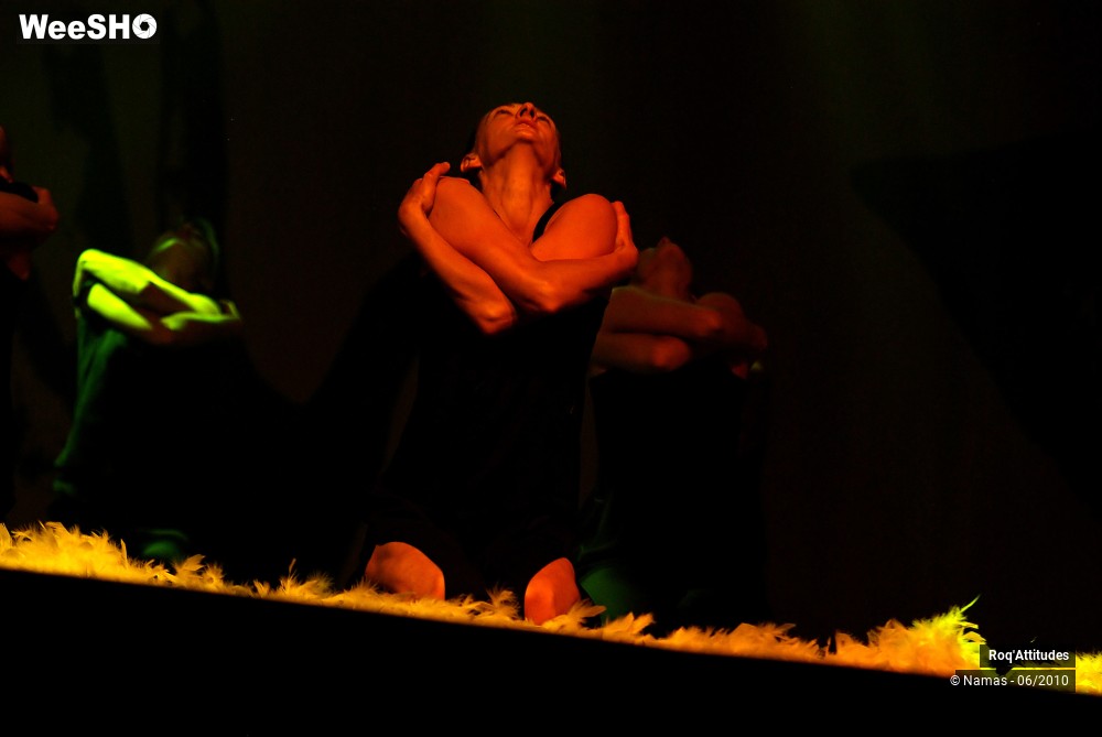 37/47 photos du spectacle Roq Attitudes Partie 2