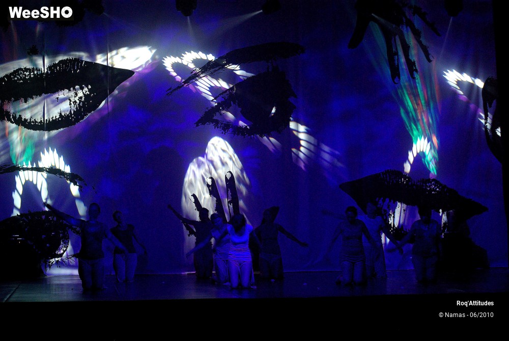 6/44 photos du spectacle Roq Attitudes - Les 5 Sens