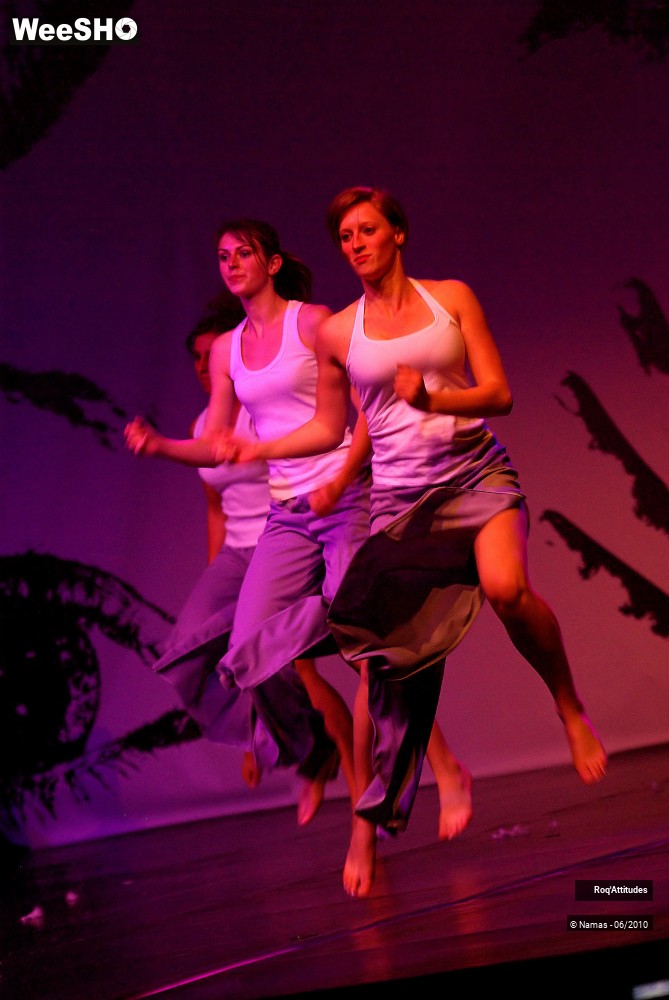 11/44 photos du spectacle Roq Attitudes - Les 5 Sens