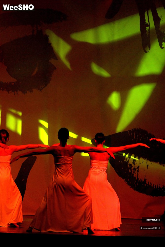 14/44 photos du spectacle Roq Attitudes - Les 5 Sens