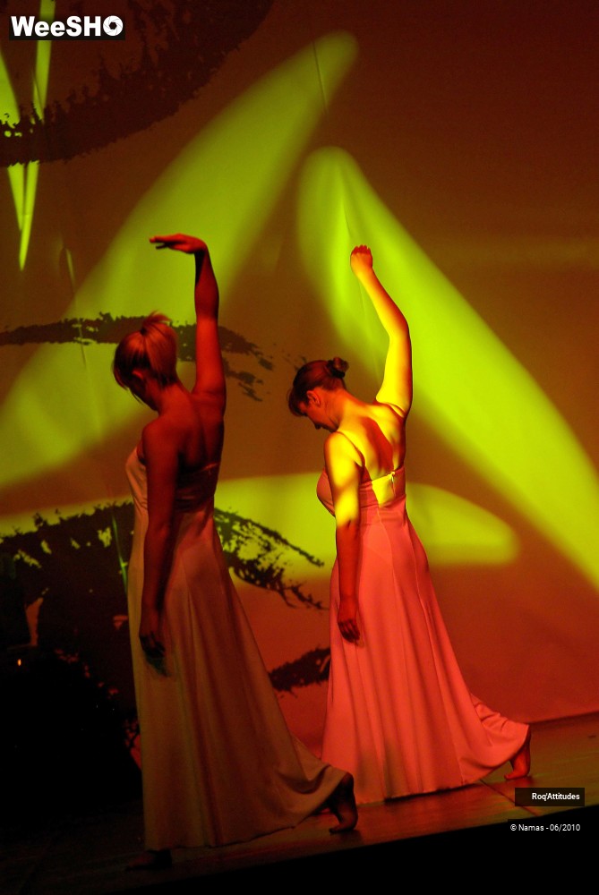 15/44 photos du spectacle Roq Attitudes - Les 5 Sens