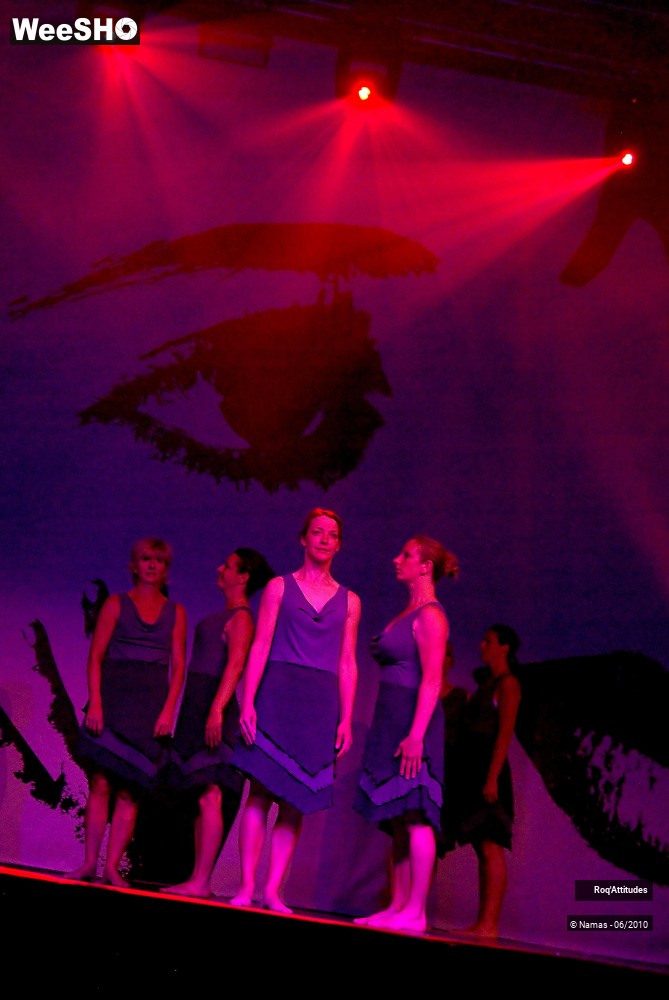 19/44 photos du spectacle Roq Attitudes - Les 5 Sens