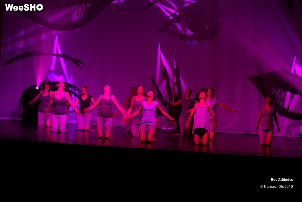 32/44 photos du spectacle Roq Attitudes - Les 5 Sens