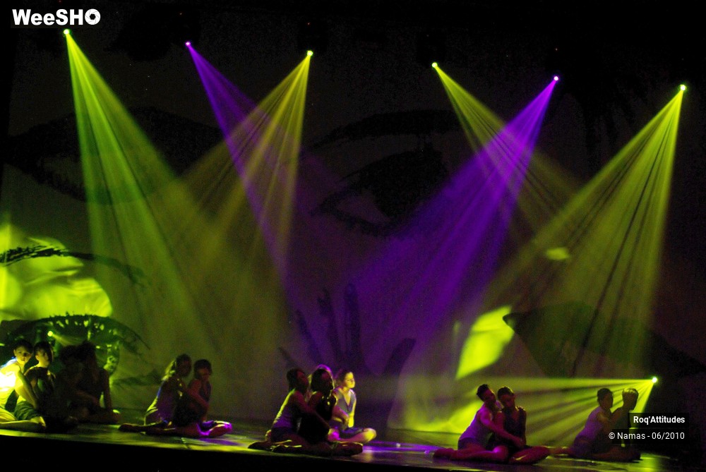 35/44 photos du spectacle Roq Attitudes - Les 5 Sens